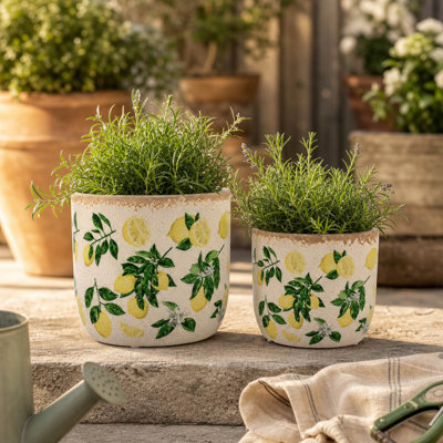 Jardinières décoratives en céramique patinée pour jardin - Pot de fleurs intérieur ou extérieur pour le salon ou la maison - Ensemble de 2, 8 ", 6", jaune et ivoire