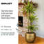 Gold Ribbed Stone Indoor Plant Pot Handmade Pot Planter-120084532