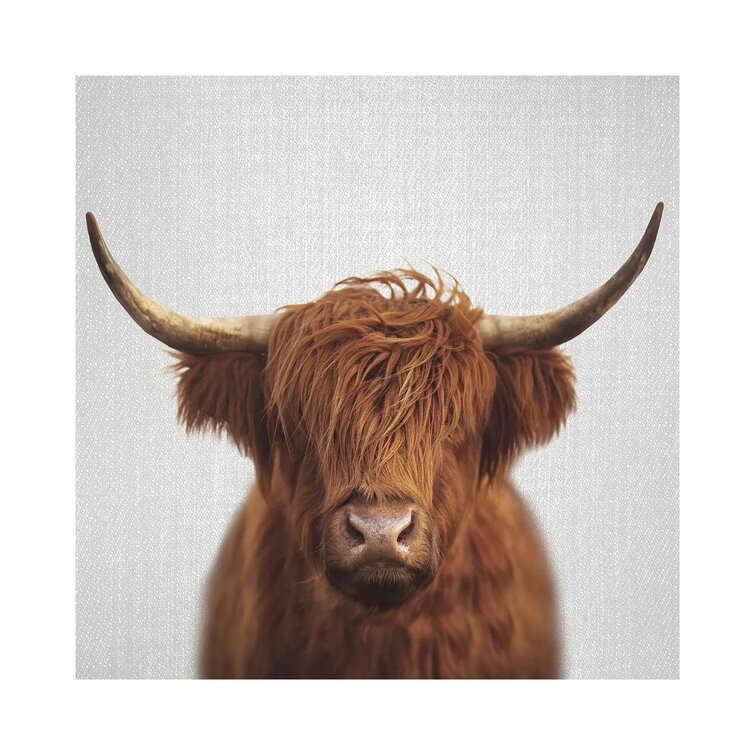 Highland Cow Neutral Art Print by James Wiens