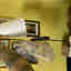 Photos des clients 1 de 1