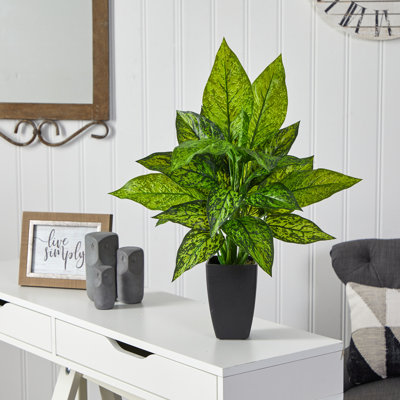 21'' Faux Dieffenbachia Plant in Planter