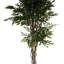 Annistyn 140cm Faux Ruscus Tree in Pot