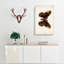 Cecropia Moth by S.F. Denton - Wrapped Canvas-55370987