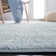 Olius Performance Oriental Rug