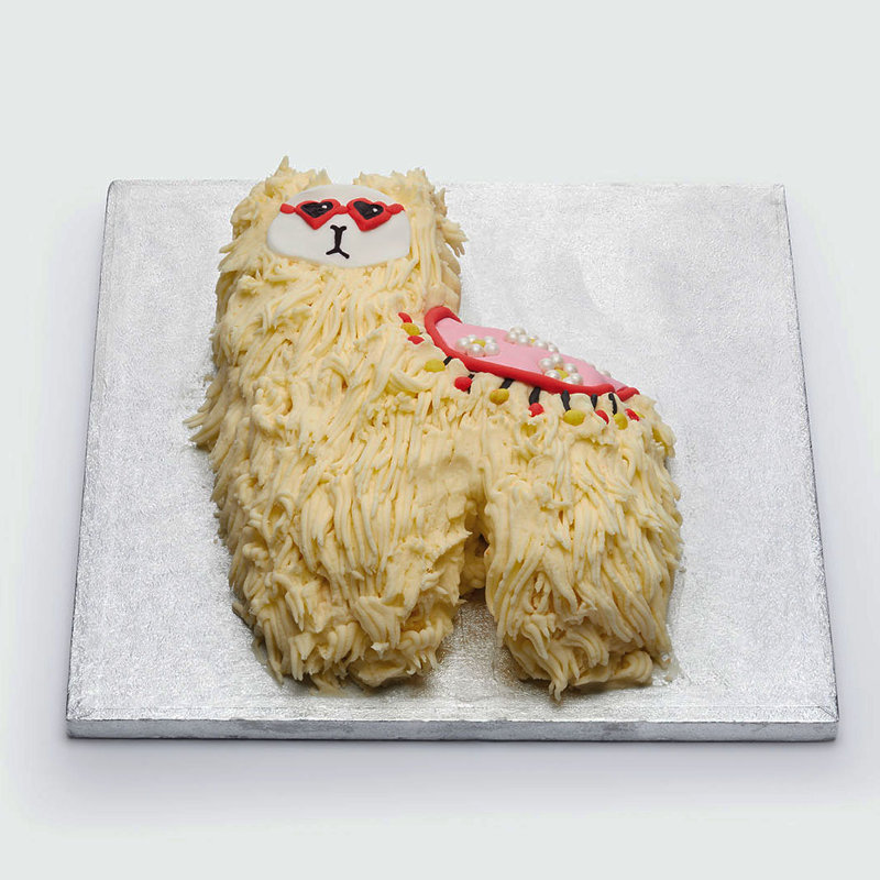Non-Stick Novelty Sweetly Does It Llama Shaped Cake Pan