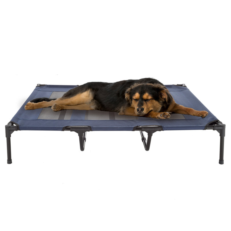 Lit surélevé pour chien PETMAKER 122 x 90 cm - Lit pour chiens de très grande taille, bleu, Bleu