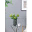 Vase de table en verre Abels-1503765807