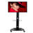UD Single Screen Floor Stand Mount