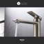 Robinet de lavabo de salle de bain à grande cuve à fixation sur plateau à poignée simple Wedge Collection - Nickel brossé-52012516