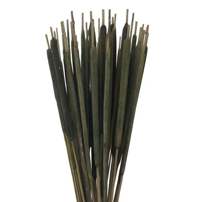 Tige d'herbe Flournoy