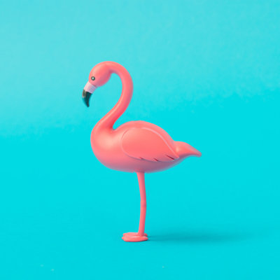 Pink Flamingo - Wrapped Canvas Print