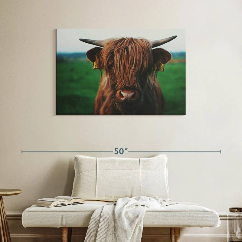 Brampt Highland Cow Close Up, 26" H x 39" W
