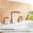 2-handle Bathroom Faucet with Drain Assembly-100089969