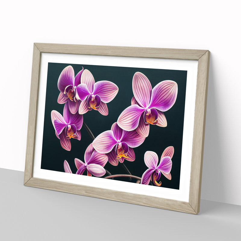 Evolving Orchid Flowers - Framed Print, 25cm H x 34cm W x 2cm D, Oak