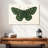 Brampt Antique Butterfly I-107709768