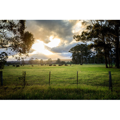 " Australian Cattle Farm " by Jandrielombard