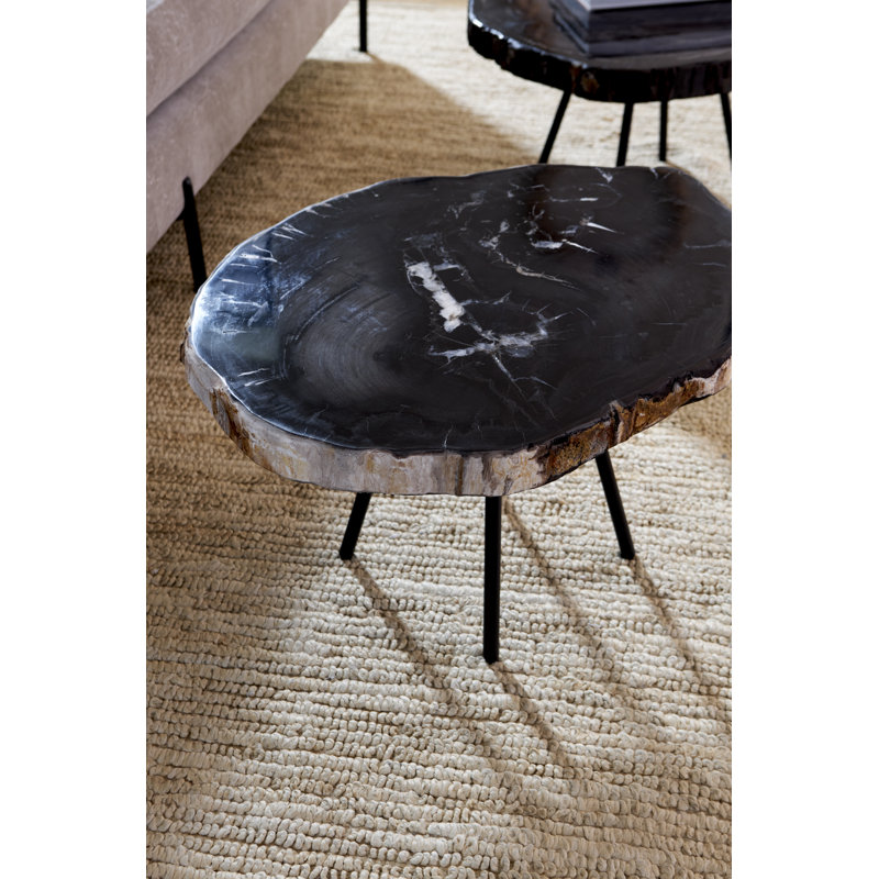 Petrified Coffee Table, Round, Metal Black Base