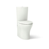 Persuade 1.6 GPF Elongated Two-Piece toilet (Seat Not Included)