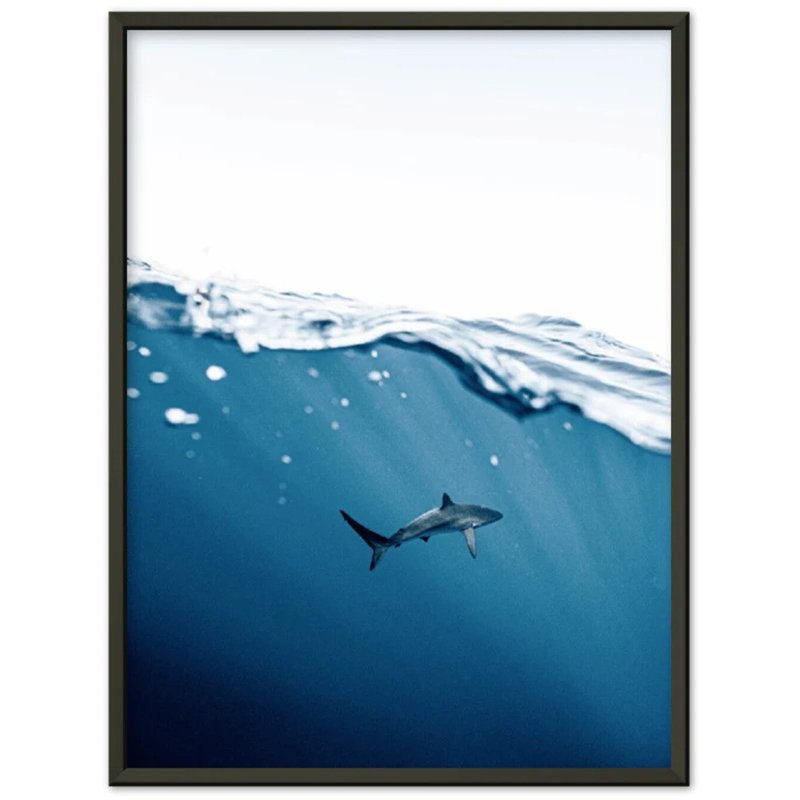 Requin près de la surface, impression d'art mural - affiche de la faune de l'océan - grand requin blanc, art de la mer - impression sous-marine marine - décoration nautique côtière - art mural océan minimaliste - cadeau inspiré par la mer d'aventur