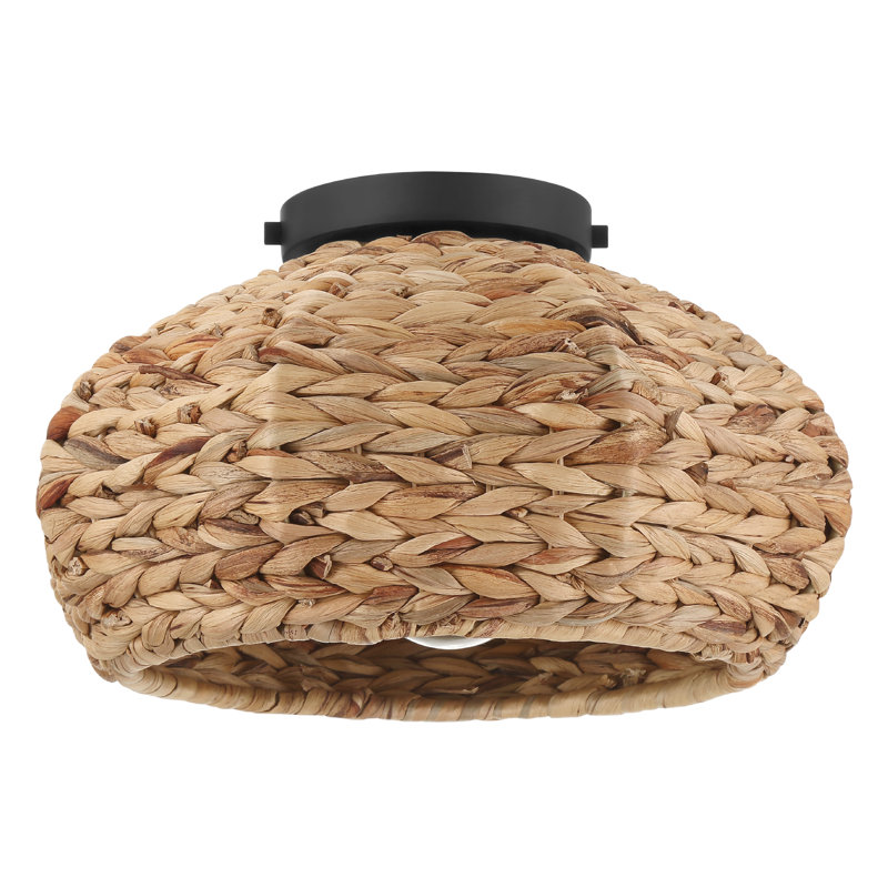 Hunter Cambria 1 Light Medium Flush Mount Ceiling Light Fixture