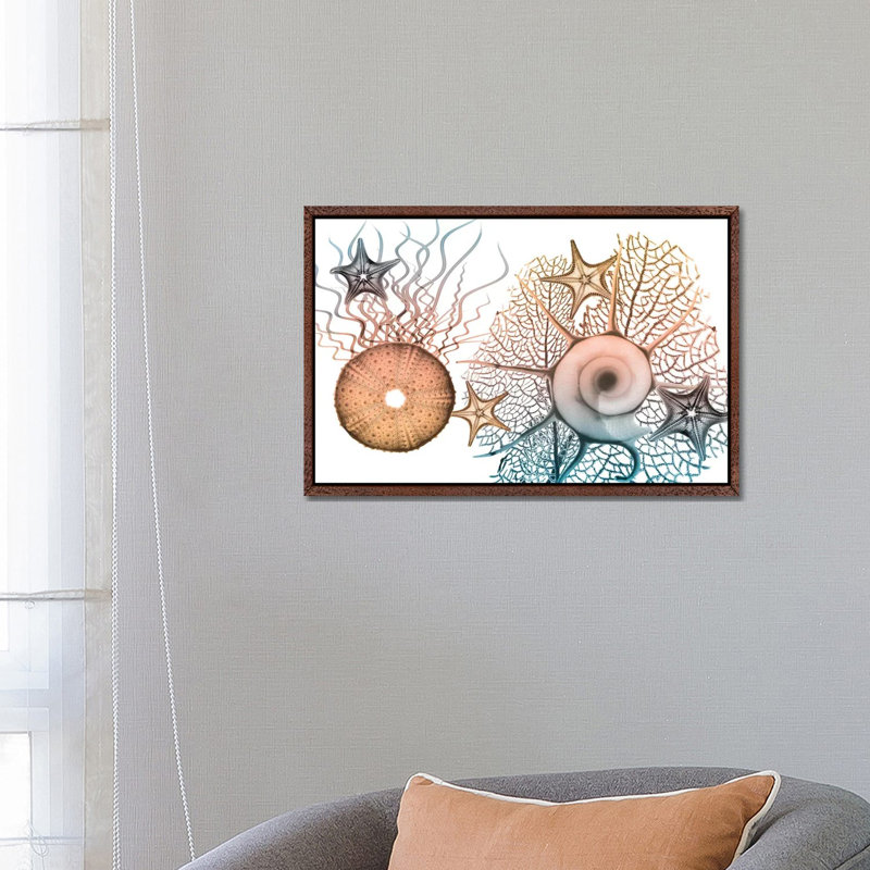 Sea Collective I by Albert Koetsier - Print on Canvas, Classic Brown Wood Framed, 45.72cm H x 66.04cm W x 3.81cm D