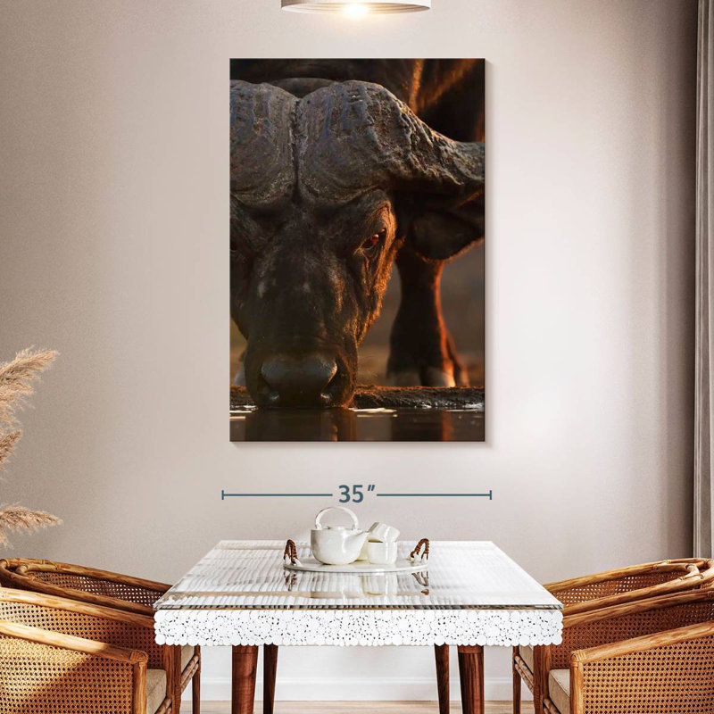 Brampt Drinking Cape Buffalo, 51" H x 34" W