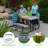Lifetime 6-Foot Classic Folding Picnic Table-7065048