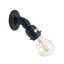 Teanna Armed Sconce-458355707