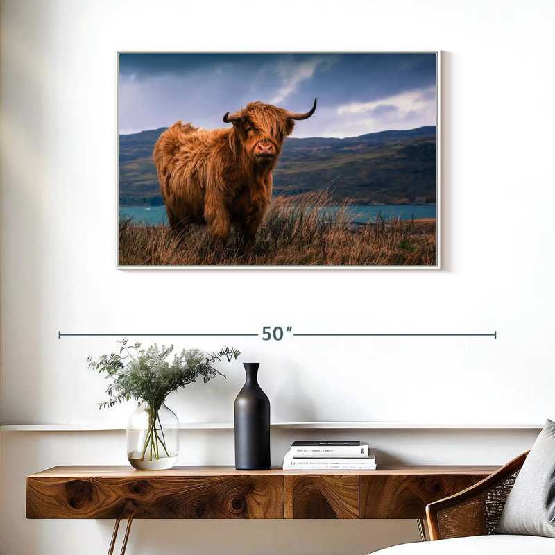Grande vache Highland, Cadre flottant blanc, 37 po x 25 po