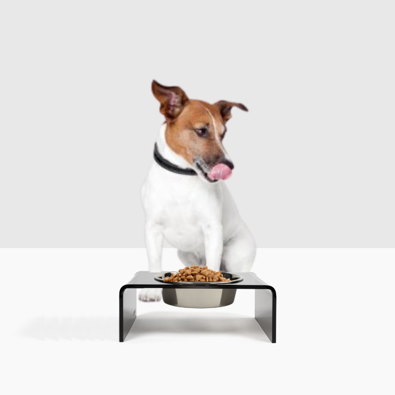 Single Bowl Elevated Feeder with Bowl, Smoke Grey, Silver