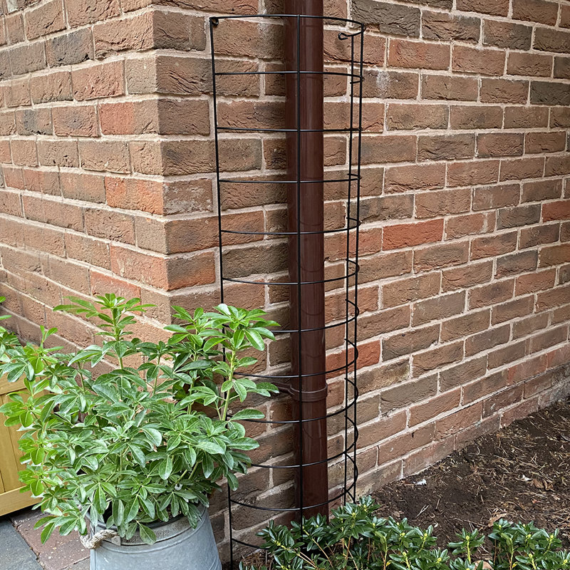 Wilkin 120cm H x 30cm W Metal Folding Trellis