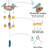  Mobile Wind Chime