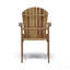 Ensemble de 2 chaises d'extérieur en bois d'acacia résistant aux intempéries, finition gris foncé-1030706845