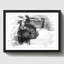 Black French Bulldog - Wall Art-23740800-23740801