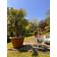 Balhi Fibreglass Planter-14486398
