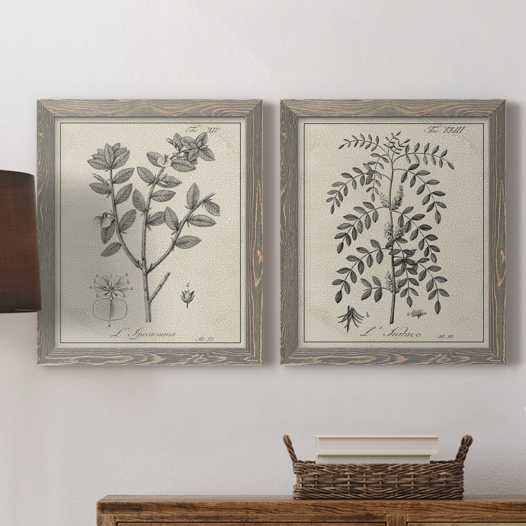 " Antique Black And White Botanical VIII " 2 - Pieces Three Posts™ Mat 