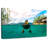 Crowle Duck Underwater View-111824436
