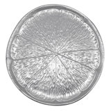 Lets Celebrate Platter