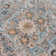 Jascha Oriental Indoor Rug