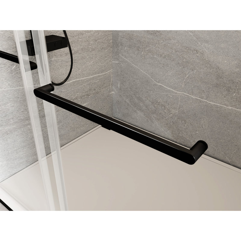 56 à 60 po X P 76 po Porte de douche coulissante double H, Noir mat