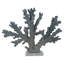 Coral Decorative Object