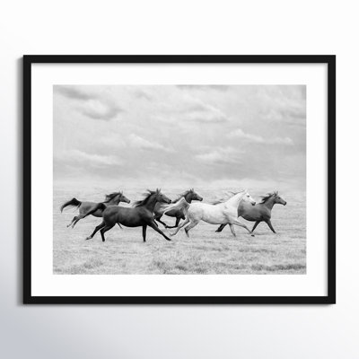 Horse Run I by PHBurchett