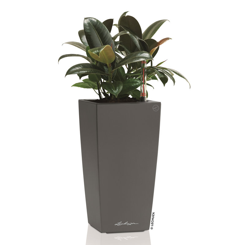Pot Planter, Charcoal Metallic