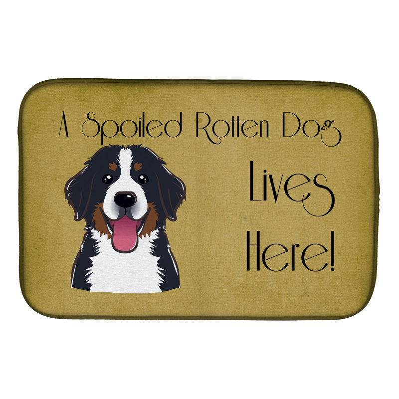 Tapis de séchage pour chien en vie bouvier bernois mountain dog