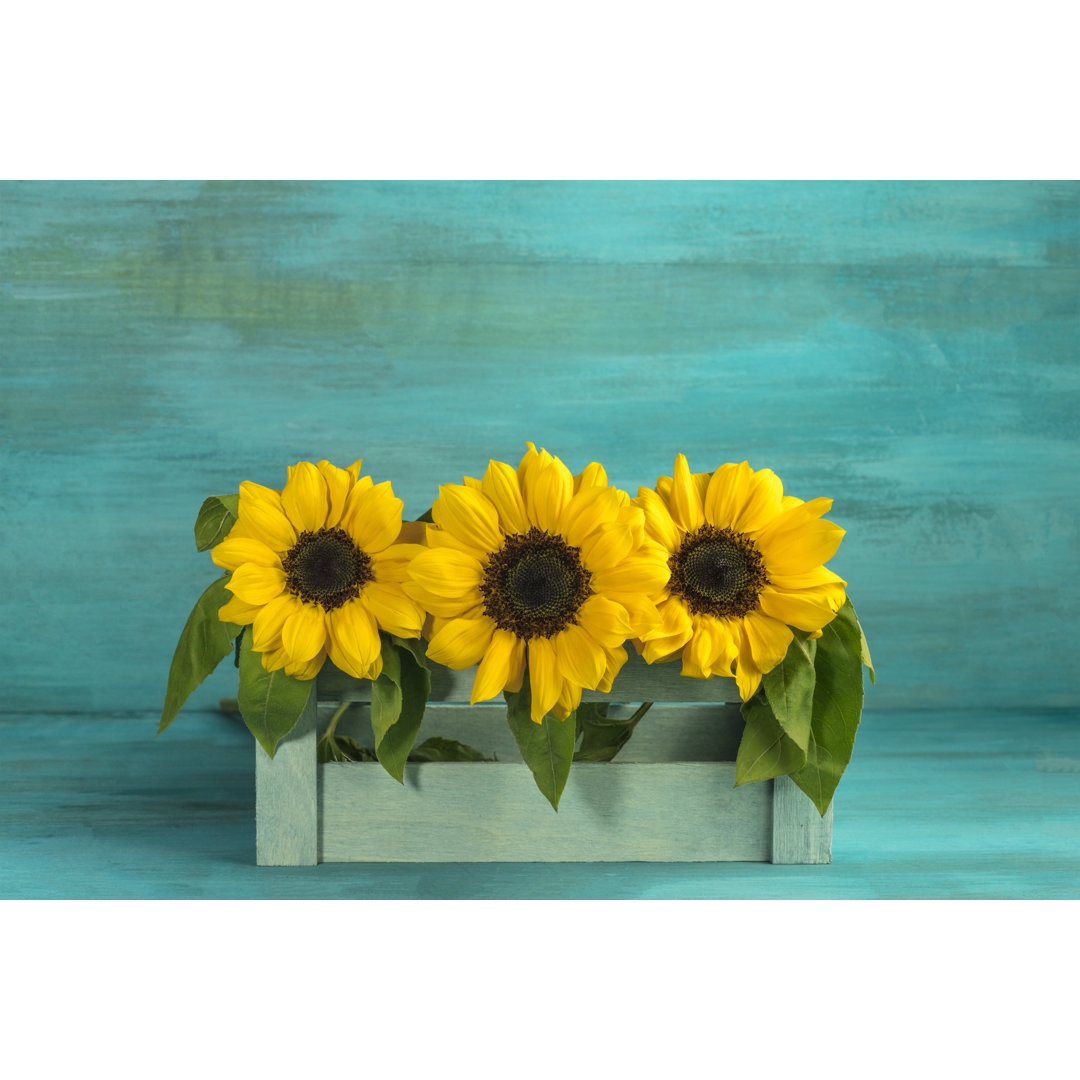 Bouquet Of Yellow Sunflowers On Teal Background - Wrapped Canvas Print
