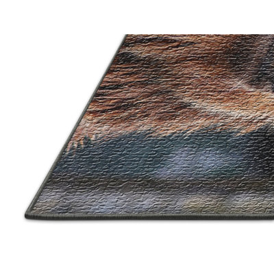 Indoor Rug