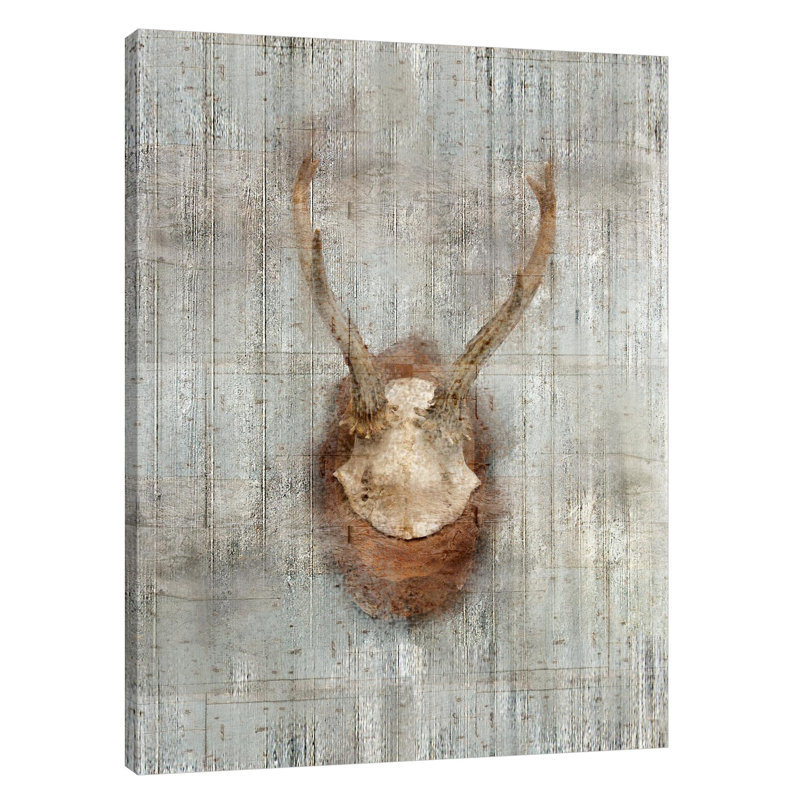 Antlers 1 by Kimberly Allen - Wrapped Canvas Print, 102cm H x 76cm W x 4cm D