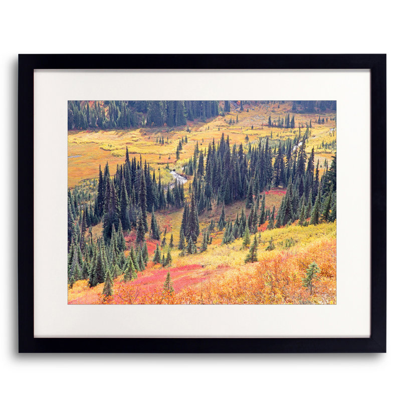 Autumn Colors In Paradise Valley. Mt. Rainier Print by Bruce Heinemann, 25.25" H x 31.25" W x 0.875" D, Black Framed Paper