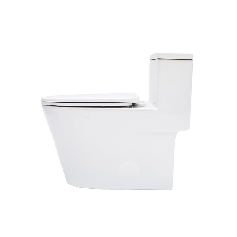 One Piece Ceramic Toilet 12 - Inch Rough In, Dual Flush 1.24/1.43 , Soft Close Seat, 800G Map Rating, Non Porous Surface For Low Maintenance With Flush, Body