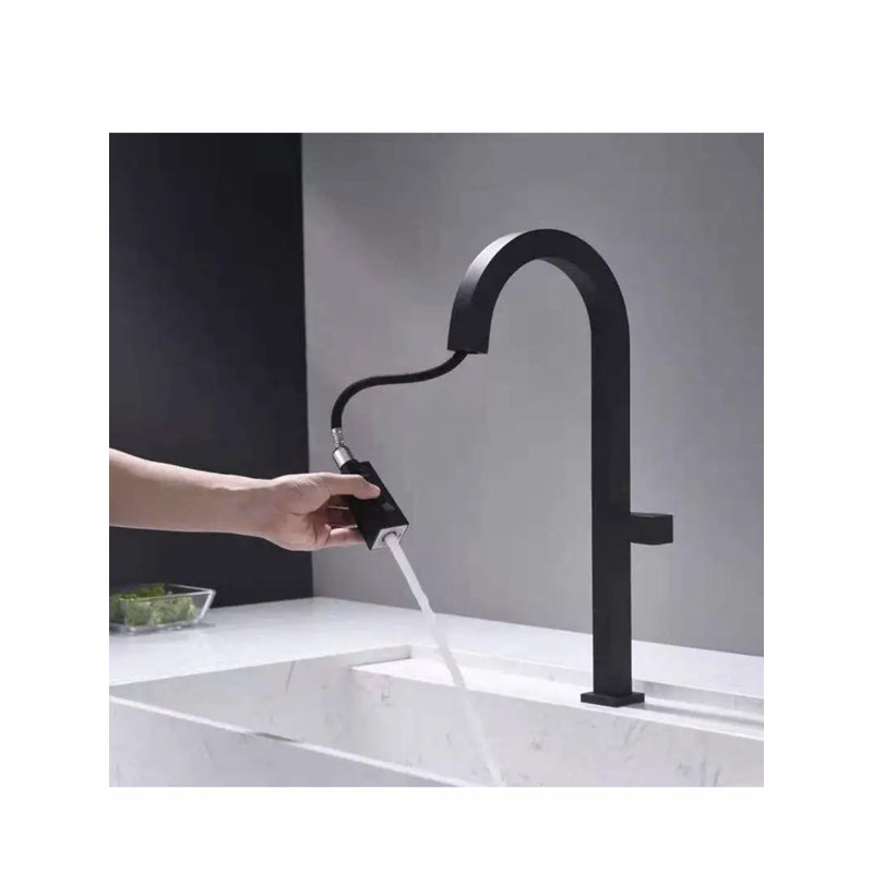 AvaMalis Pull Out Kitchen Faucet